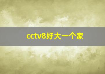 cctv8好大一个家