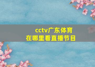 cctv广东体育在哪里看直播节目