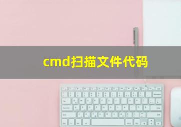 cmd扫描文件代码