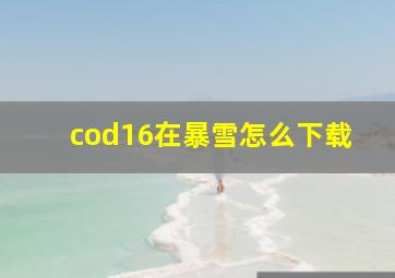 cod16在暴雪怎么下载