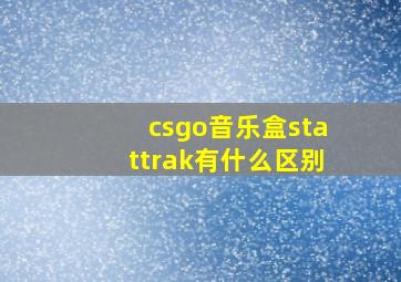 csgo音乐盒stattrak有什么区别