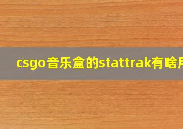 csgo音乐盒的stattrak有啥用