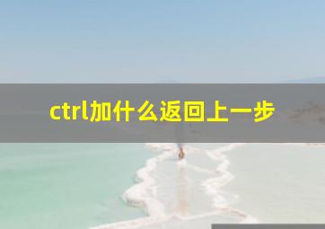 ctrl加什么返回上一步