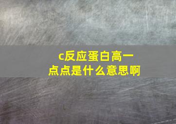 c反应蛋白高一点点是什么意思啊