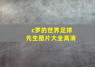 c罗的世界足球先生图片大全高清