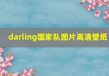 darling国家队图片高清壁纸