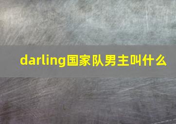 darling国家队男主叫什么