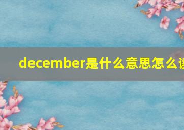 december是什么意思怎么读