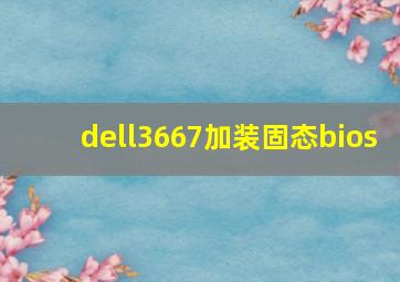 dell3667加装固态bios