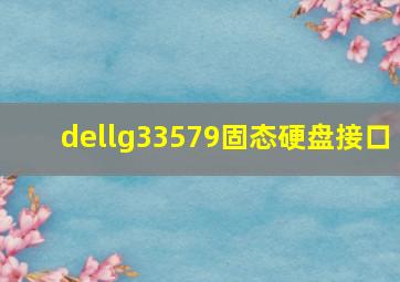 dellg33579固态硬盘接口