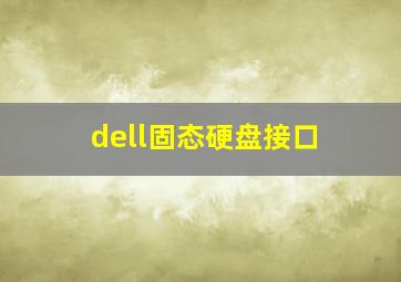 dell固态硬盘接口