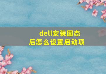 dell安装固态后怎么设置启动项