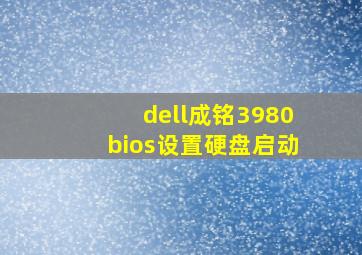 dell成铭3980bios设置硬盘启动