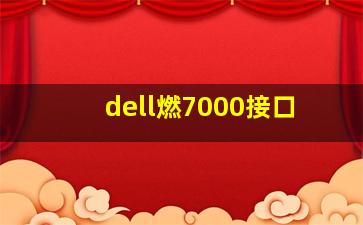 dell燃7000接口