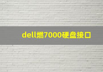 dell燃7000硬盘接口