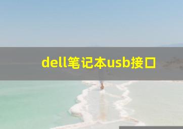 dell笔记本usb接口