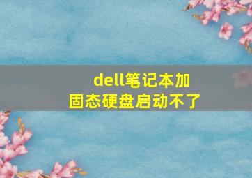 dell笔记本加固态硬盘启动不了