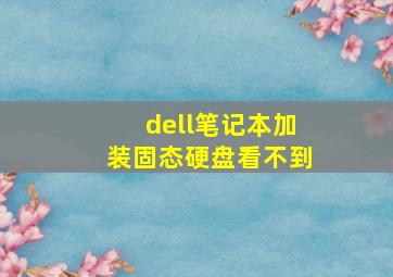 dell笔记本加装固态硬盘看不到