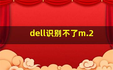 dell识别不了m.2