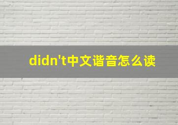 didn't中文谐音怎么读