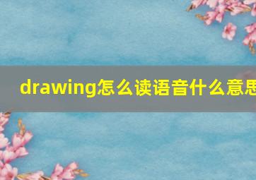 drawing怎么读语音什么意思