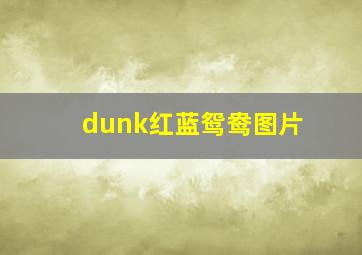 dunk红蓝鸳鸯图片