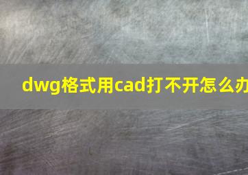 dwg格式用cad打不开怎么办