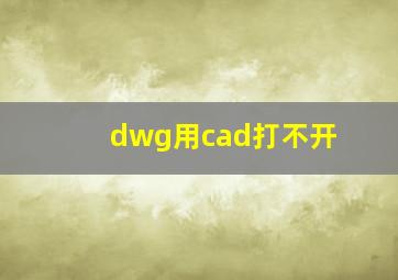 dwg用cad打不开