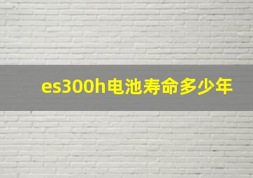 es300h电池寿命多少年