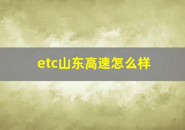 etc山东高速怎么样