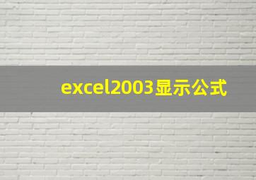 excel2003显示公式