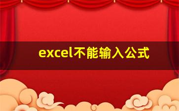 excel不能输入公式