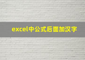 excel中公式后面加汉字