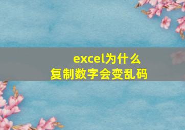 excel为什么复制数字会变乱码