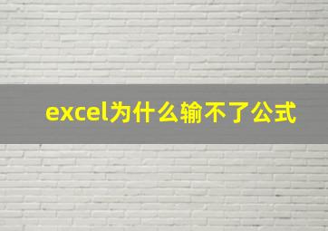 excel为什么输不了公式