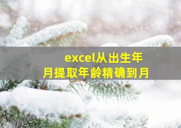 excel从出生年月提取年龄精确到月