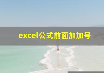 excel公式前面加加号