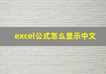 excel公式怎么显示中文