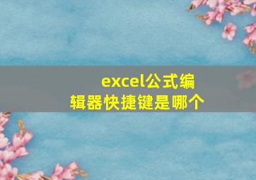 excel公式编辑器快捷键是哪个