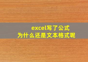 excel写了公式为什么还是文本格式呢