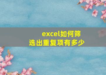 excel如何筛选出重复项有多少