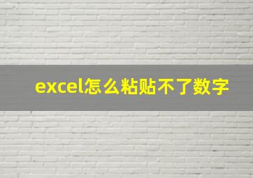 excel怎么粘贴不了数字