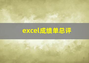 excel成绩单总评