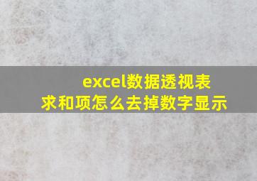 excel数据透视表求和项怎么去掉数字显示