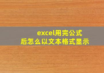 excel用完公式后怎么以文本格式显示