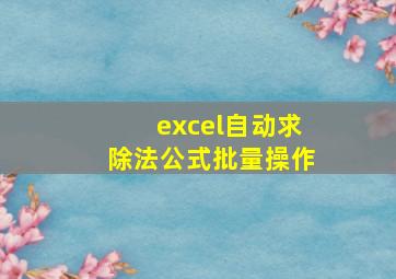 excel自动求除法公式批量操作