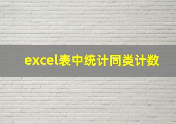 excel表中统计同类计数