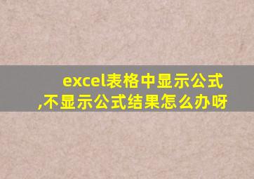 excel表格中显示公式,不显示公式结果怎么办呀