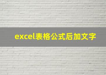 excel表格公式后加文字