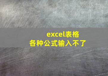 excel表格各种公式输入不了